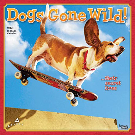Avanti Dogs Gone Wild 2021 Calendar [KALENDARZ]