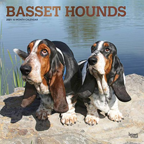 Basset Hounds 2021 Square Wall Calendar: Original BrownTrout-Kalender, mit freier DogDays-App [KALENDARZ]