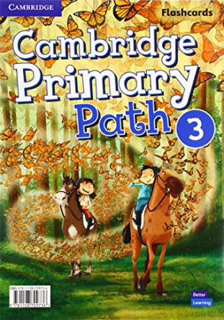 Cambridge Primary Path Level 3 Flashcards [KSIĄŻKA]
