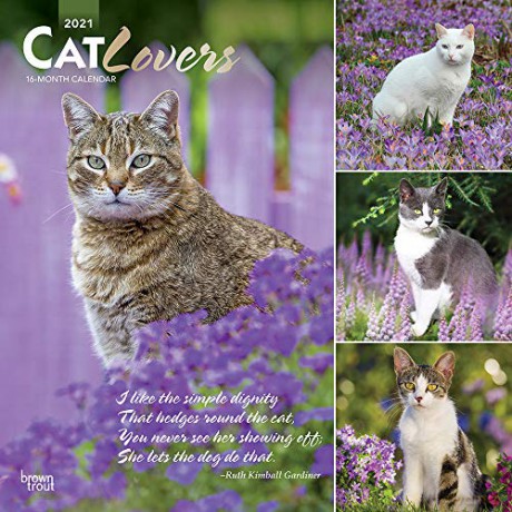Cat Lovers 2021 Square Wall Calendar [KALENDARZ]