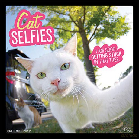 Cat Selfies 2021 Square Wall Calendar [KALENDARZ]