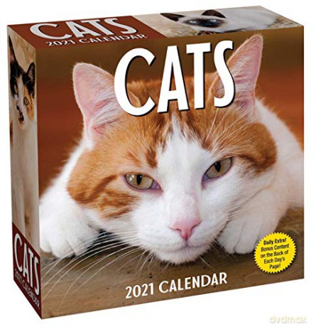 Cats 2021 Day-to-Day Calendar [KSIĄŻKA]