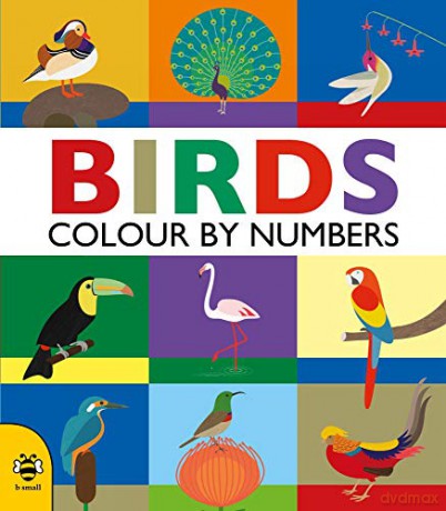 Colour By Numbers: Birds: 1 - Sam Hutchinson [KSIĄŻKA]