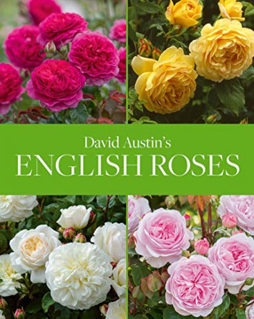 David Austin's English Roses - David Austin [KSIĄŻKA]