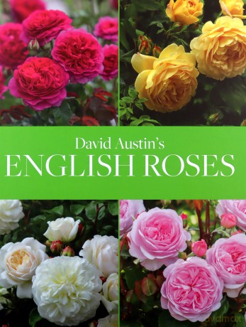 David Austin's English Roses - David Austin [KSIĄŻKA]
