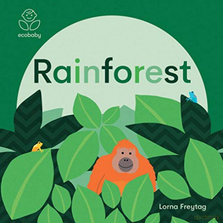 Eco Baby: Rainforests - Lorna Freytag [KSIĄŻKA]