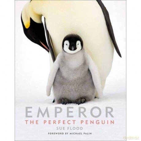 Emperor: The Perfect Penguin - Sue Flood [KSIĄŻKA]
