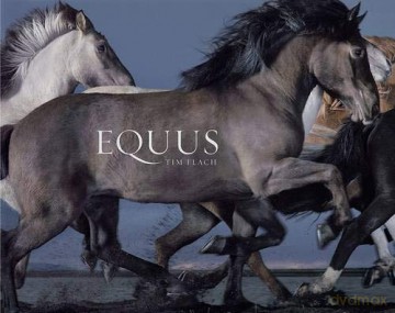 Equus - Tim Flach [KSIĄŻKA]