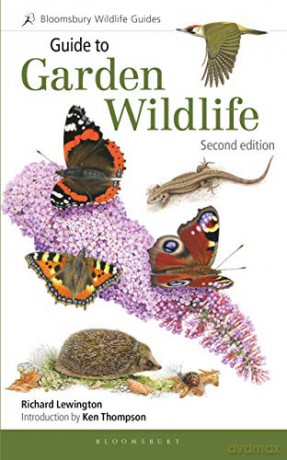 Guide to Garden Wildlife (2nd edition) (Bloomsbury Wildlife Guides) - Richard Lewington [KSIĄŻKA]