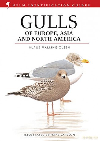 Gulls of Europe, Asia and North America (Helm Identification Guides) - Klaus Malling Olsen [KSIĄŻKA]