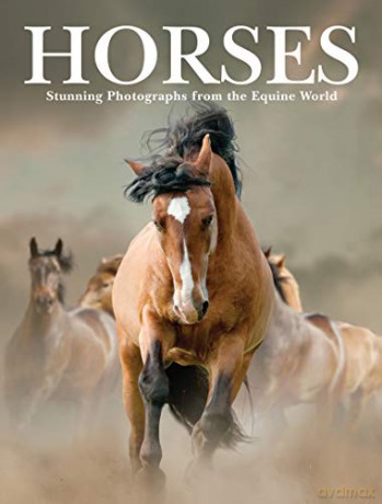 Horses (Animals): Stunning Photographs from the Equine World - Paula Hammond [KSIĄŻKA]