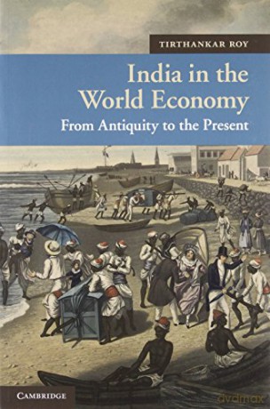 India in the World Economy: From Antiquity to the Present: 10 (New Approaches to Asian History, Series Number 10) - Tirthankar Roy [KSIĄŻKA]