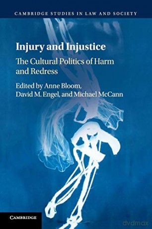 Injury and Injustice: The Cultural Politics of Harm and Redress (Cambridge Studies in Law and Society) - Anne Bloom [KSIĄŻKA]