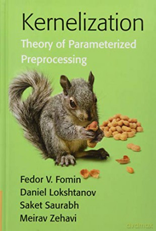 Kernelization: Theory of Parameterized Preprocessing - Fedor V. Fomin [KSIĄŻKA]