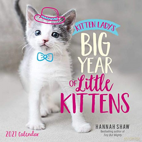Kitten Lady's Big Year of Little Kittens 2021 SquareWall Calendar [KALENDARZ]