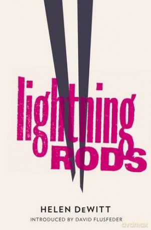 Lightning Rods - Helen DeWitt [KSIĄŻKA]