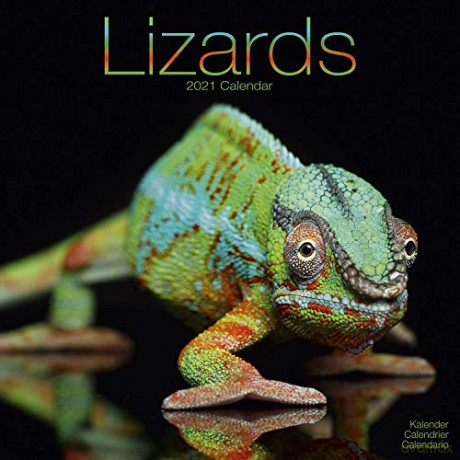 Lizards 2021 Calendar | Square Wall Calendar | 16 Month [KALENDARZ]
