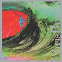 Chris Brown: Rogue Wave [CD]