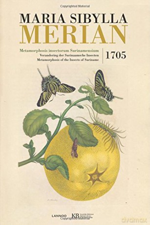 Metamorphosis Insectorum Surinamensium - Maria Sibylla Merian [KSIĄŻKA]