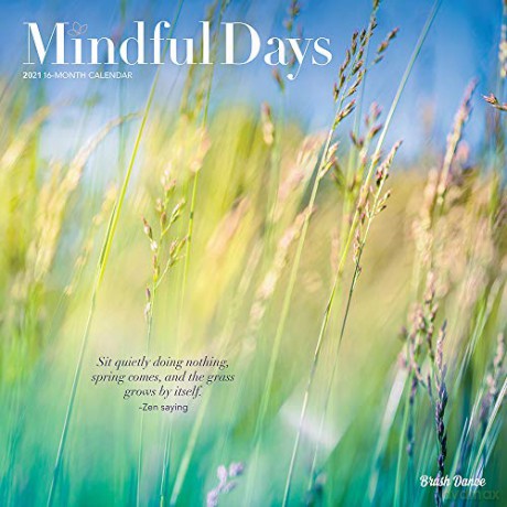 Mindful Days 2021 Square Wall Calendar - Brush Dance - Brush Dance [KALENDARZ]