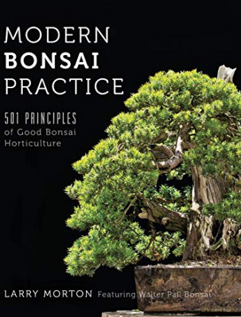 Modern Bonsai Practice: 501 Principles of Good Bonsai Horticulture - Larry W Morton [KSIĄŻKA]
