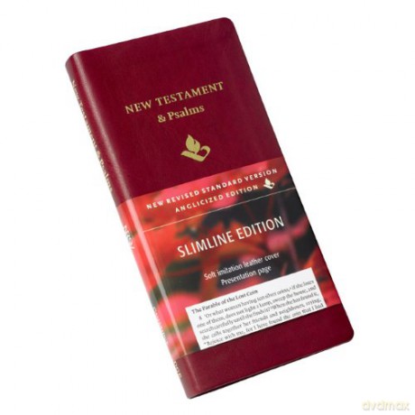 NRSV New Testament and Psalms, Burgundy Imitation leather, NR012:NP [KSIĄŻKA]
