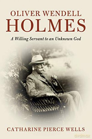 Oliver Wendell Holmes: A Willing Servant to an Unknown God (Cambridge Historical Studies in American Law and Society) - Catharine Pierce Wells [KSIĄŻKA]