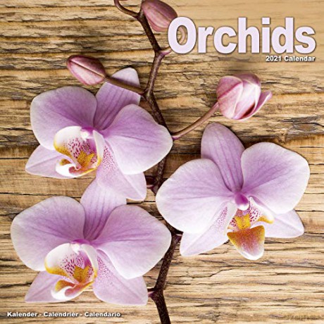 Orchids 2021 Calendar | Square Flower Wall Calendar | 16 Month [KALENDARZ]
