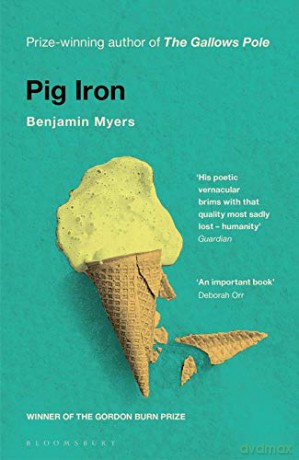 Pig Iron - Benjamin Myers [KSIĄŻKA]