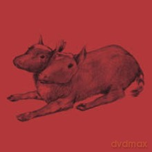 Quasi: Early Rechordings [CD]