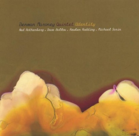 Denman Maroney Quintet: Udentity [CD]