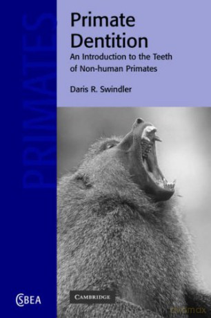 Primate Dentition: An Introduction to the Teeth of Non-human Primates: 32 (Cambridge Studies in Biological and Evolutionary Anthropology, Series Number 32) - Swindler [KSIĄŻKA]