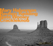 Mary Halvorson, Reuben Radding, Nate Wooley: Crackleknob [CD]