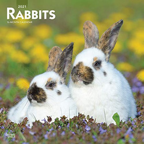 Rabbits 2021 Calendar [KALENDARZ]