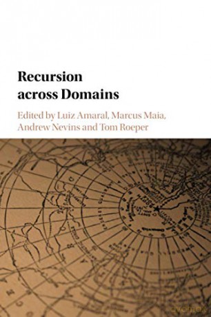 Recursion across Domains - Luiz Amaral [KSIĄŻKA]