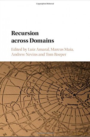 Recursion across Domains - Luiz Amaral [KSIĄŻKA]