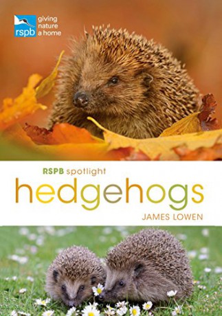 RSPB Spotlight Hedgehogs - James Lowen [KSIĄŻKA]