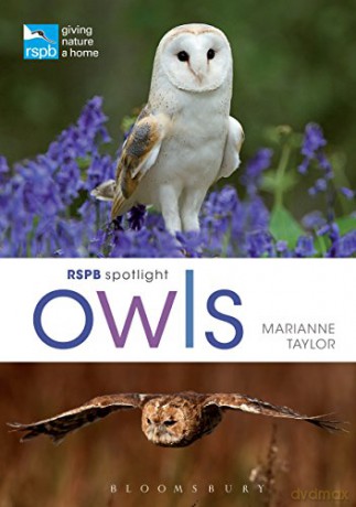 RSPB Spotlight Owls - Marianne Taylor [KSIĄŻKA]