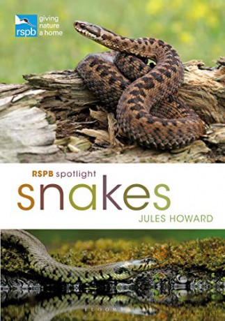 RSPB Spotlight Snakes - Jules Howard [KSIĄŻKA]