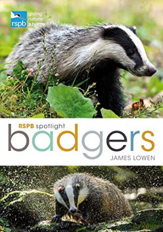 RSPB Spotlight: Badgers - James Lowen [KSIĄŻKA]