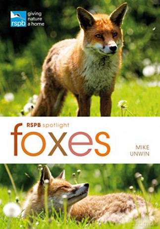 RSPB Spotlight: Foxes - Mike Unwin [KSIĄŻKA]