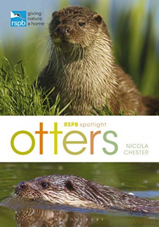 RSPB Spotlight: Otters - Nicola Chester [KSIĄŻKA]