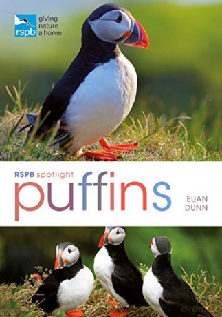 RSPB Spotlight: Puffins - Euan Dunn [KSIĄŻKA]
