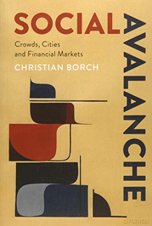 Social Avalanche: Crowds, Cities and Financial Markets - Christian Borch [KSIĄŻKA]