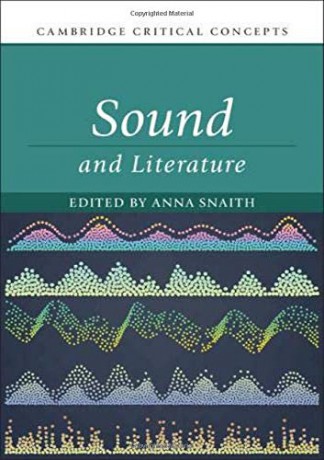 Sound and Literature (Cambridge Critical Concepts) - Anna Snaith [KSIĄŻKA]