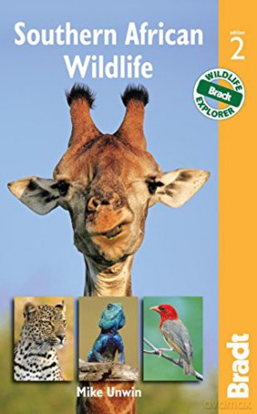 Southern African Wildlife (Bradt Travel Guides (Wildlife Guides)) - Mike Unwin [KSIĄŻKA]