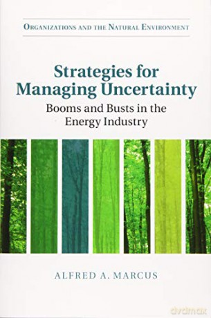 Strategies for Managing Uncertainty: Booms and Busts in the Energy Industry (Organizations and the Natural Environment) - Alfred A. Marcus [KSIĄŻKA]