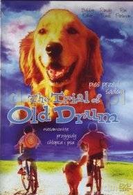 Pies przed sądem [DVD]