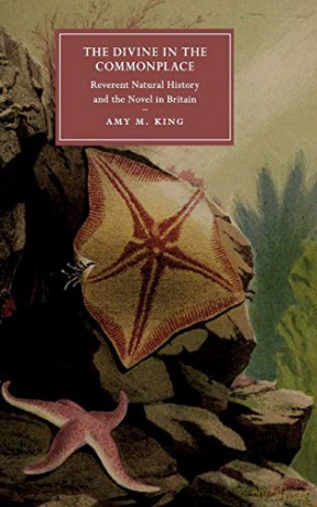 The Divine in the Commonplace: Reverent Natural History and the Novel in Britain: 117 (Cambridge Studies in Nineteenth-Century Literature and Culture, Series Number 117) - Amy M. King [KSIĄŻKA]