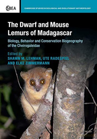 The Dwarf and Mouse Lemurs of Madagascar: Biology, Behavior and Conservation Biogeography of the Cheirogaleidae: 73 (Cambridge Studies in Biological and Evolutionary Anthropology, Series Number 73) - Shawn M. Lehman [KSIĄŻKA]